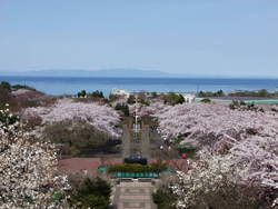 オニウシ公園